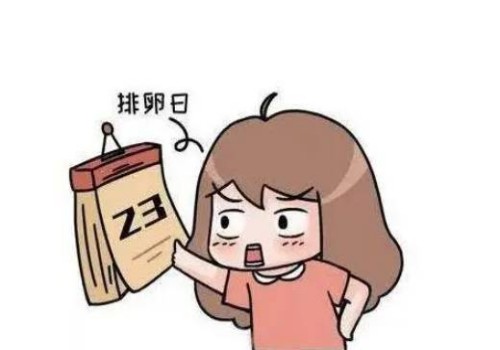 备孕二胎孕前检查很重要，内附孕前检查时间及项目_1