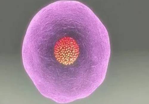 产妇开奶也有讲究，这些开奶误区你有没有中招