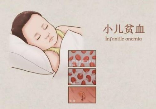试管男孩费用大概要多少钱-移植之后吃这些东西明显有助于着床